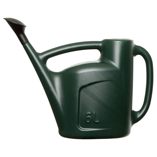 6L Green Garden Watering Can With a Detachable Rose Head Sprinkler & Durable Handle