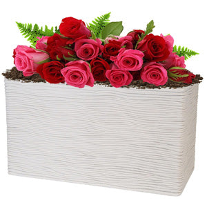 Amalfi Light Grey Stone Effect Trough Long Flower Planter