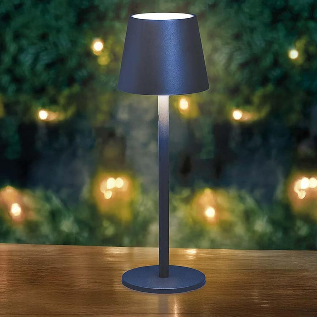 Turin Cordless Table Lamp Outdoor Indoor Room Lantern LED Reading Desk Light