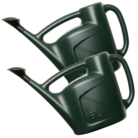 6L Green Garden Watering Can With a Detachable Rose Head Sprinkler & Durable Handle