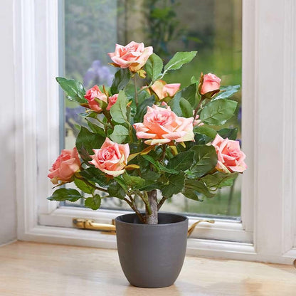Regents 40cm Potted Artificial Roses in Ruby Red, Perfect Pink & Pure White
