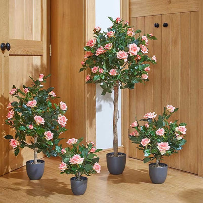 Regents 40cm Potted Artificial Roses in Ruby Red, Perfect Pink & Pure White
