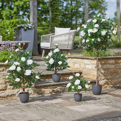 Regents 40cm Potted Artificial Roses in Ruby Red, Perfect Pink & Pure White